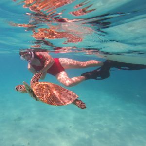 Read more about the article Top 10 Snorkelling Spots on the Ningaloo Reef