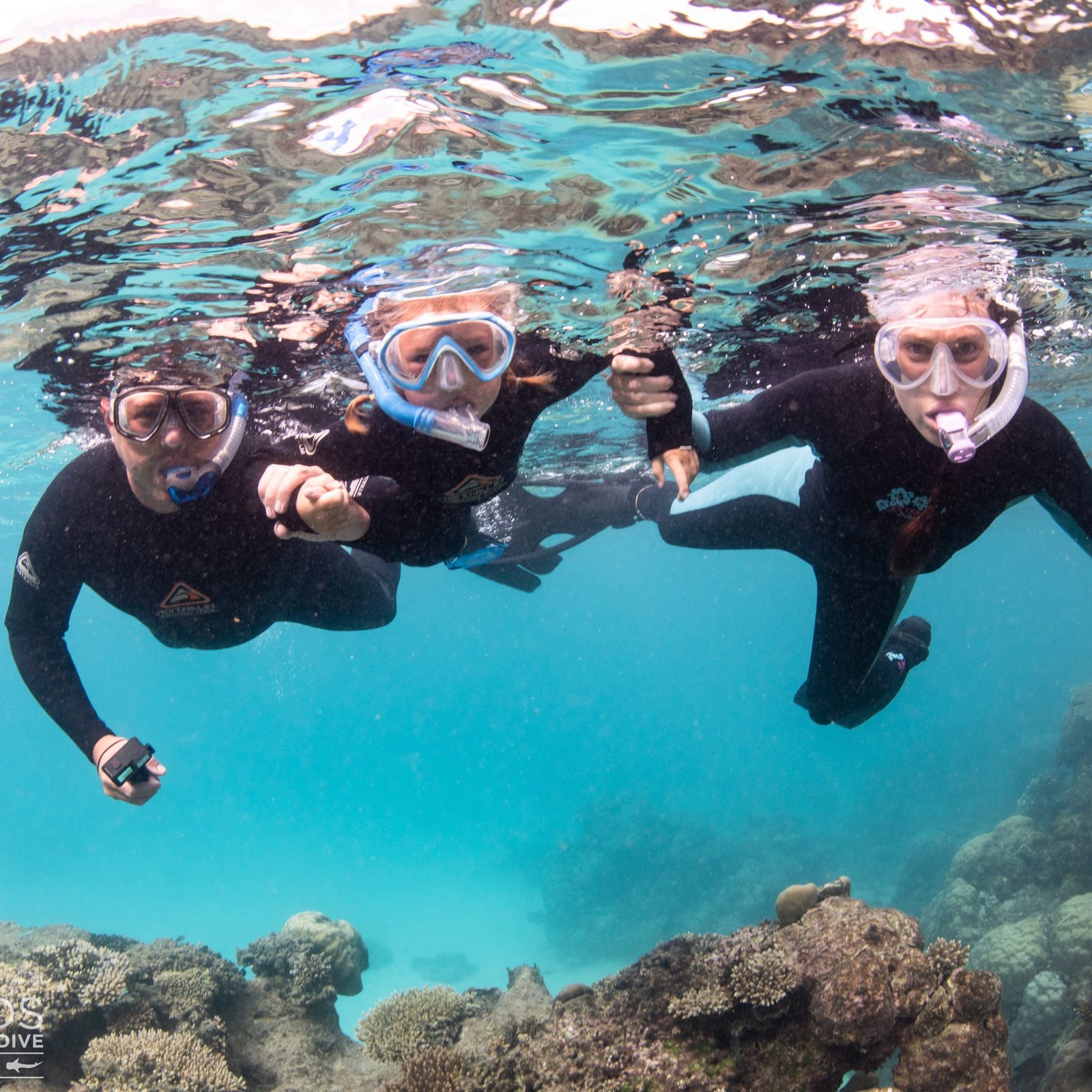 Top 10 Snorkelling Spots on the Ningaloo Reef – Overland Exposure