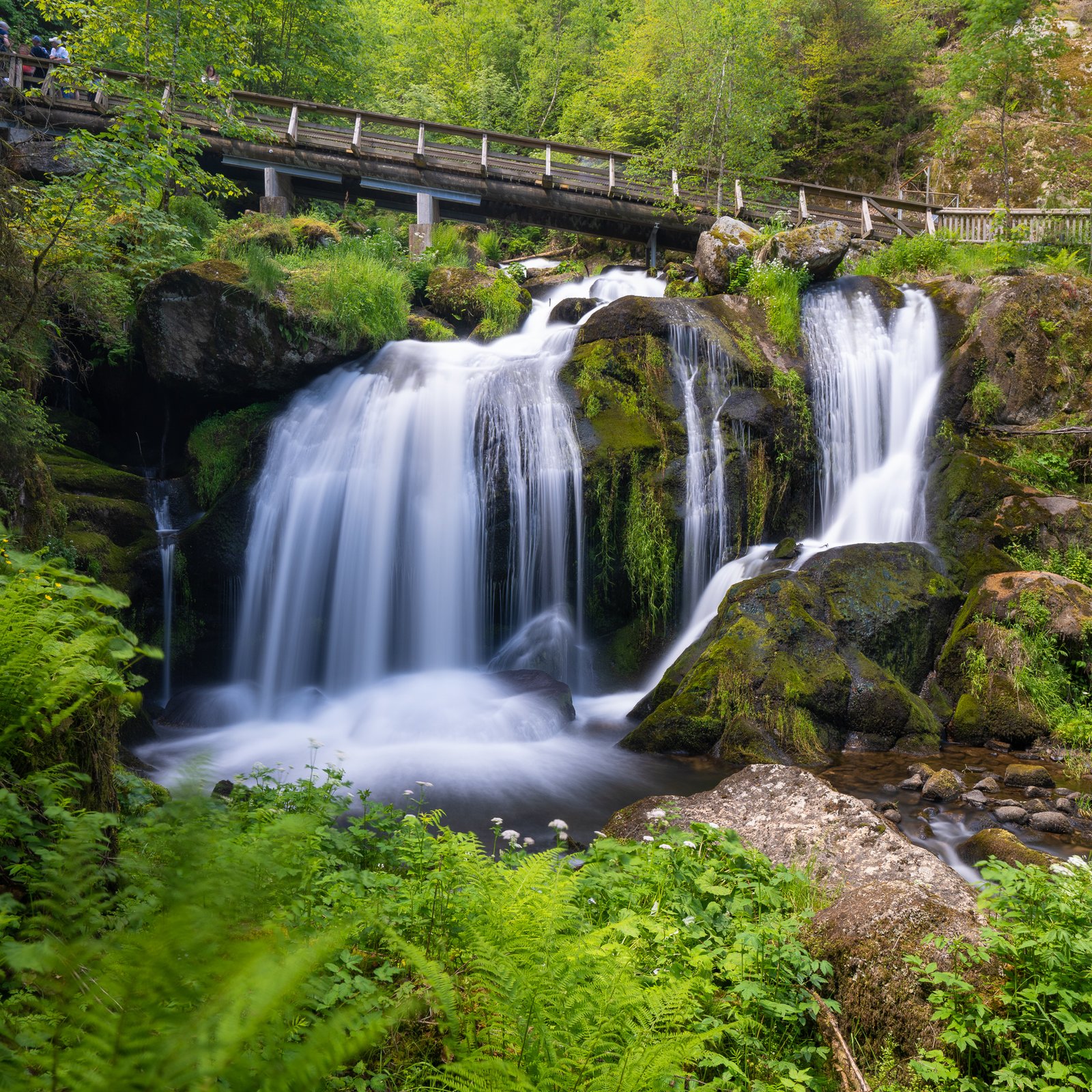 2 Day Road Trip in The Black Forest