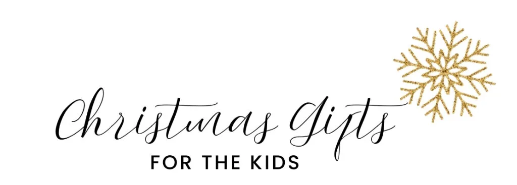 Gray and Red Vintage Christmas Gifts Ideas Search Bar Animated Instagram Story (13)