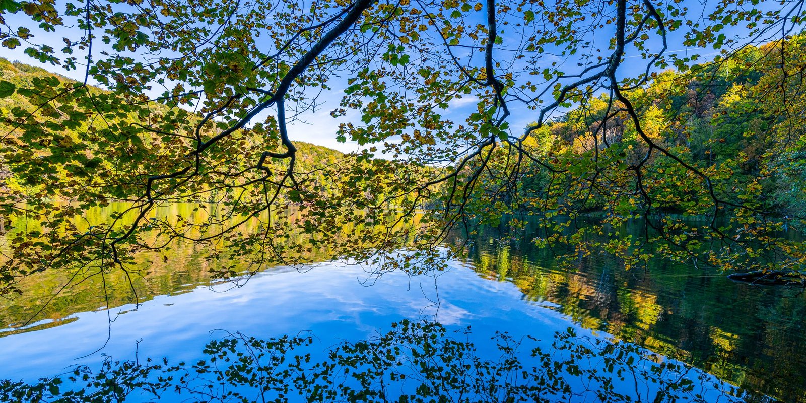 DSC00558-HDR