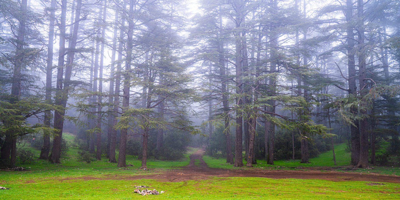 DSC03030