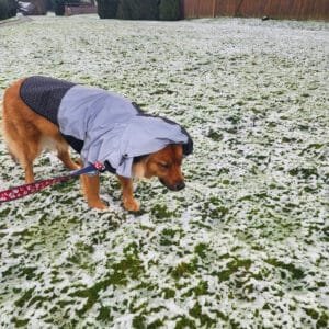 Even Sunny has a raincoat